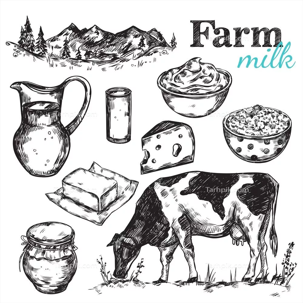 طرح وکتور طبیعی با مشخصات گاو و شیر متعلق به آن