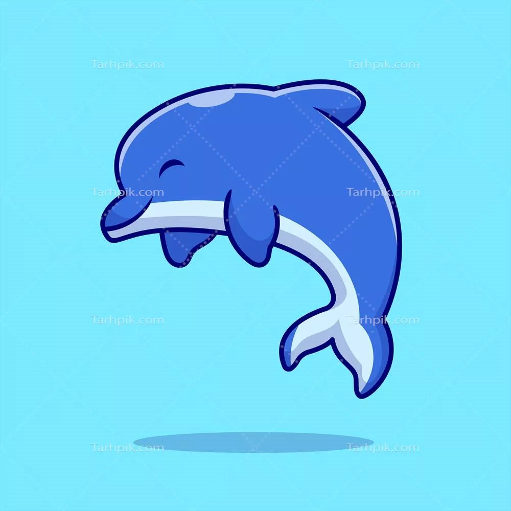 تصویر وکتور کارتونی دلفین های زیبا و جذاب