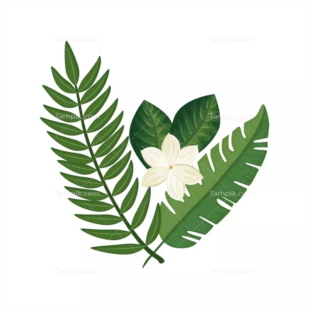 تصویر وکتور گل زیبا با شاخهها و برگهای جداگانه برای طراحی