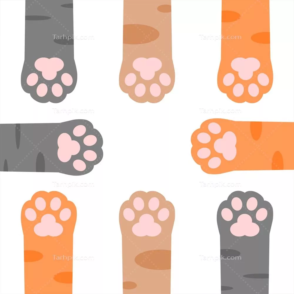 وکتور گربه زیبا با پاهای خمیری و دراز روی زمینه قهوهای