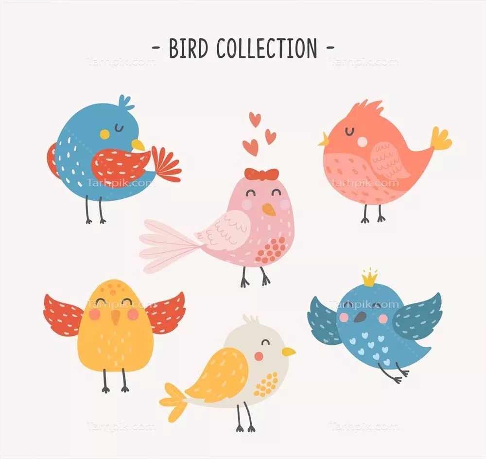 مجموعه ای از پرندگان دست کشیده و زیبای وکتور با طراحی جذاب
