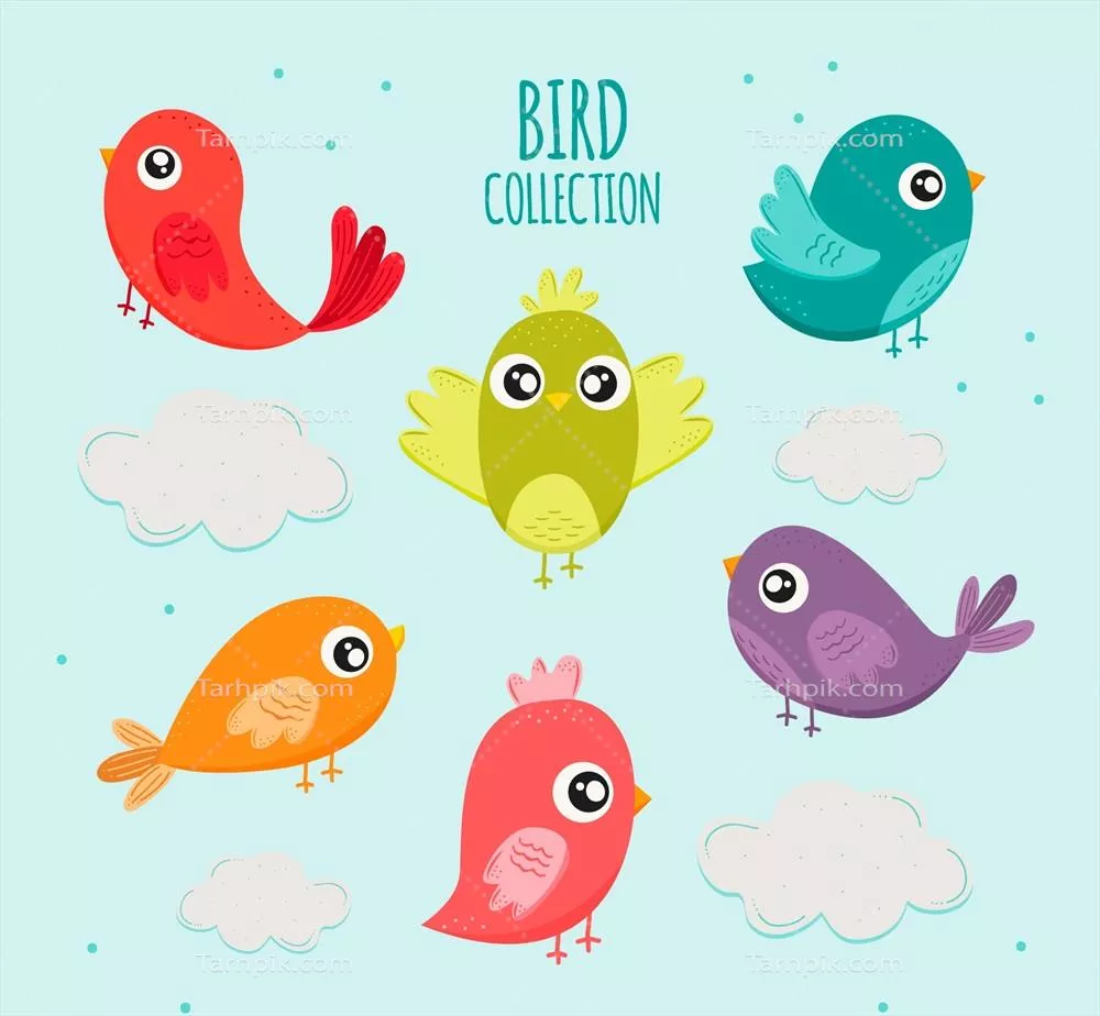 مجموعه وکتور پرندگان جذاب و دستکشیده بهصورت فانتزی