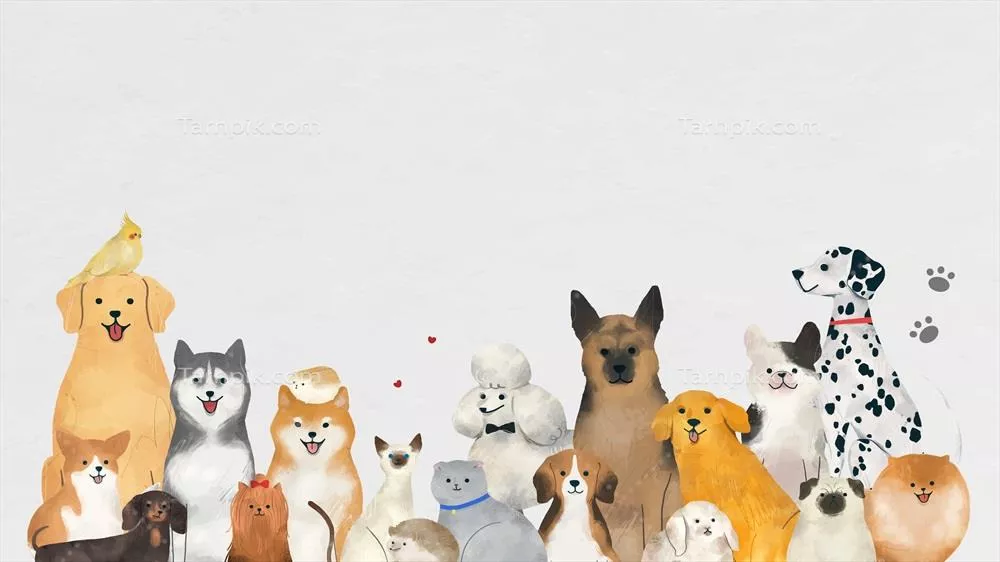 تصاویری جذاب و وکتور از حیوانات خانگی زیبا و دوستداشتنی