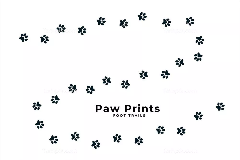 طرح وکتوری از رد پای یک سگ توله دوست داشتنی و زیبا