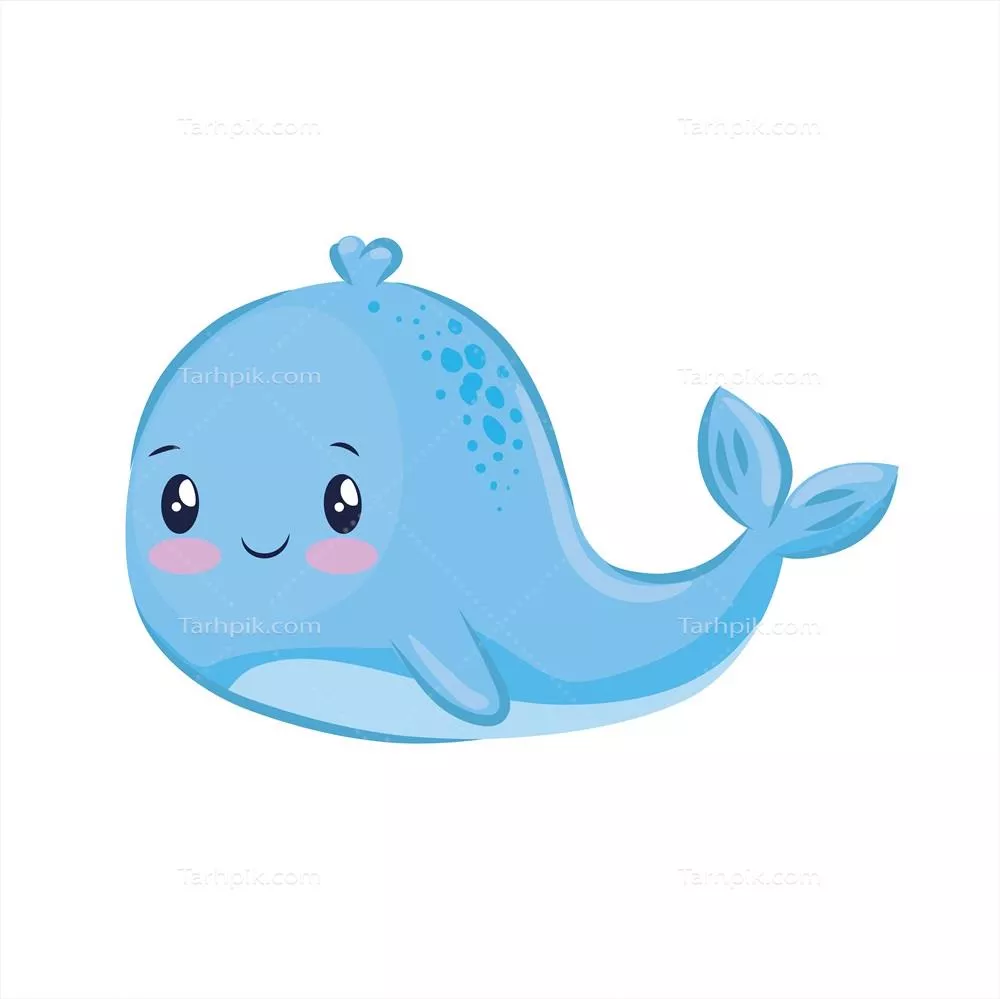 وکتور نقاشیهای جذاب و دلنشین از نهنگهای بامزه و دوستداشتنی در دنیای حیوانات