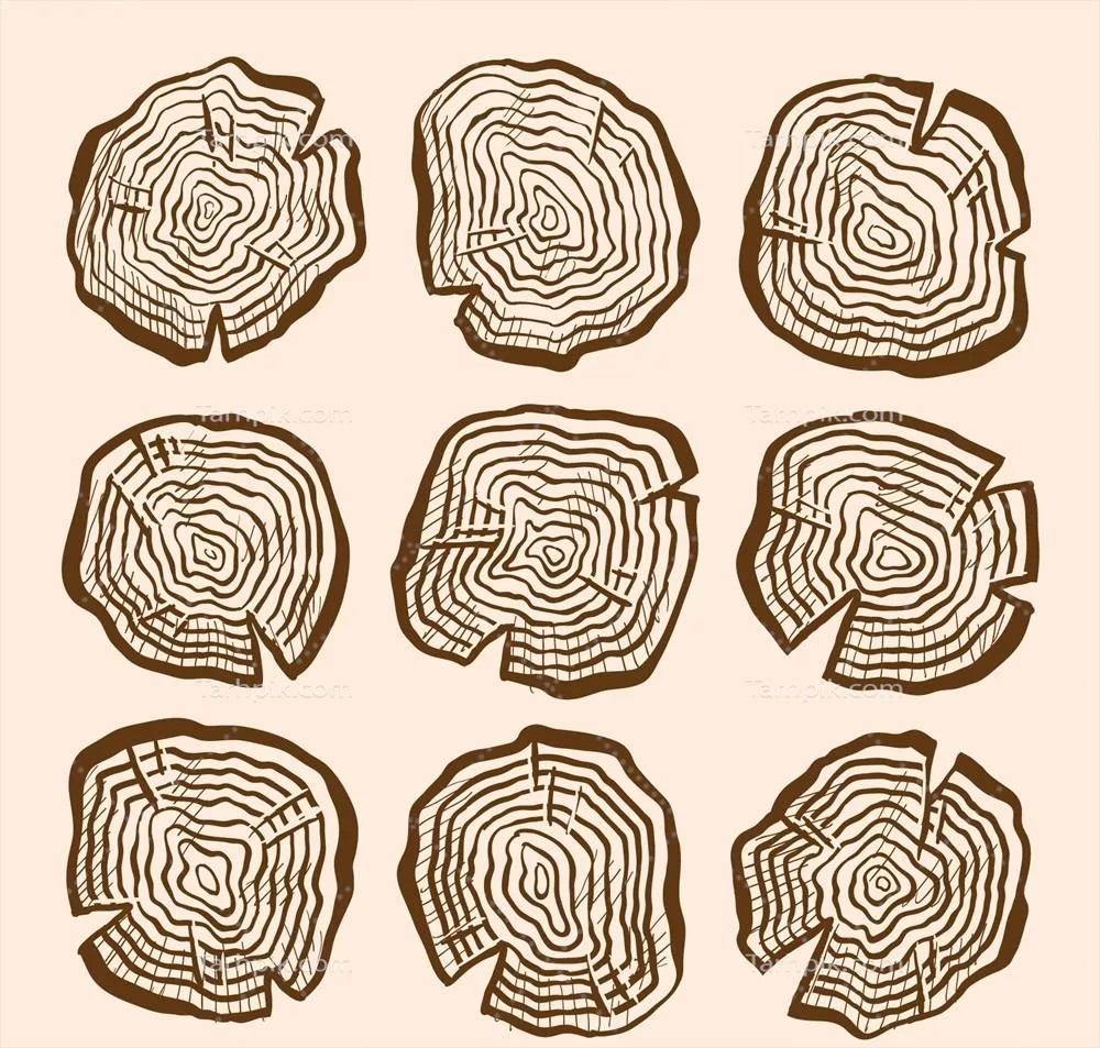 وکتور نشان های چوبی زیبا و دستکشیده با طراحی منحصر به فرد