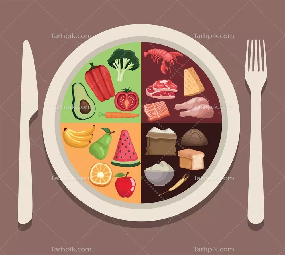 وکتور غذاهای خوشمزه و لذیذ در یک ظرف شیک و زیبا