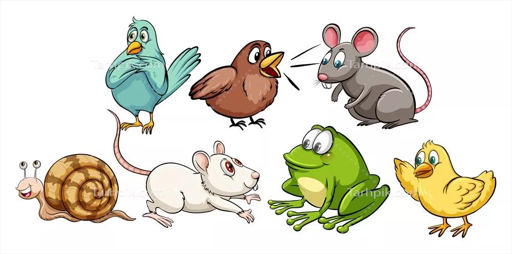 وکتور انواع مختلف حیوانات کوچک و fascinating ویژگیهای آنها