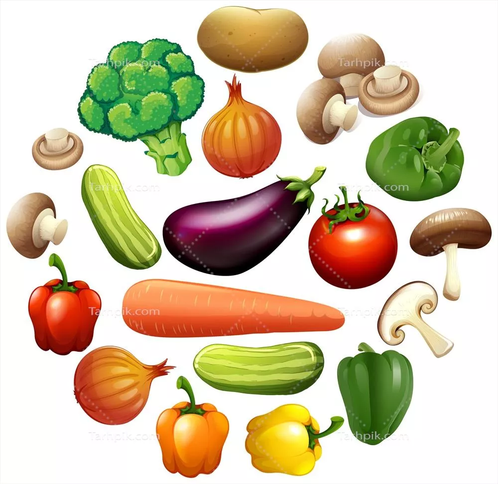 وکتور انواع مختلف سبزیجات: تصاویری جذاب و آموزشی از سبزیجات گوناگون