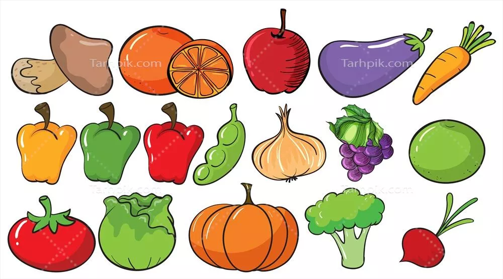 وکتور انواع مختلف میوهها و سبزیجات: تصاویری زیبا و آموزنده