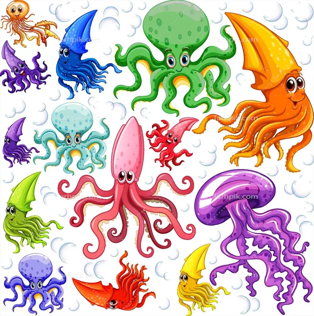 وکتور انواع مختلف جانوران دریایی: کشف زیستگاهها و ویژگیها