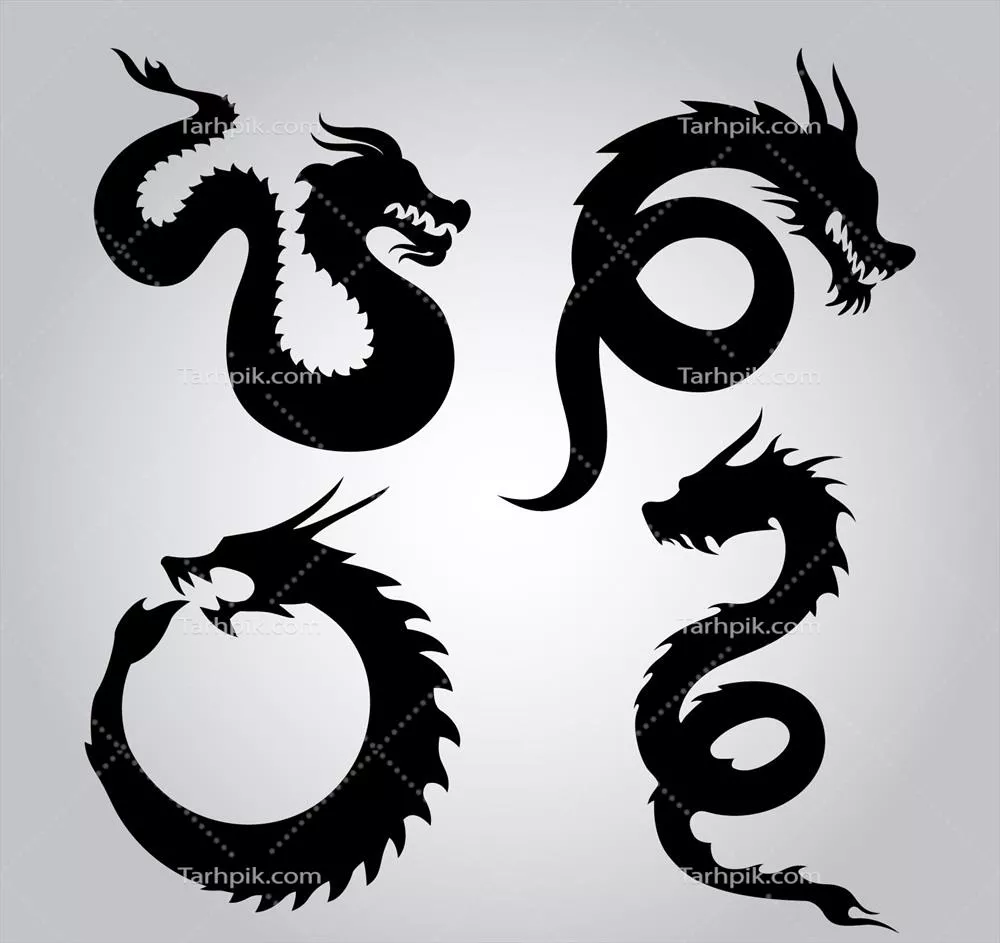 سیاهنماهای اژدها: مجموعه وکتور طراحی شده با دقت و زیبایی