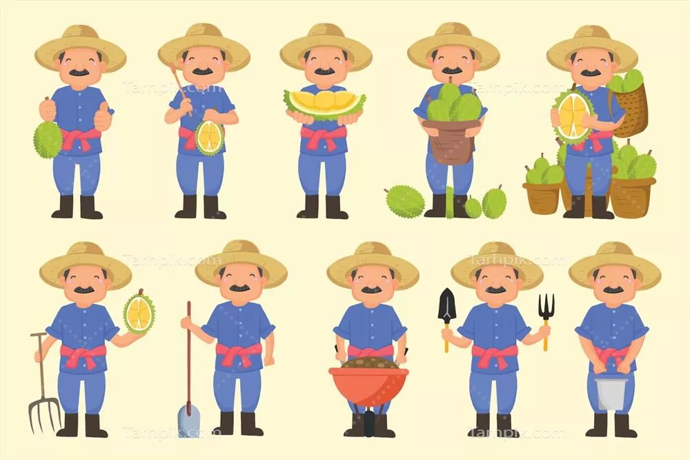 وکتور کیفیت دوریان برداشت شده در دست کشاورز آسیایی - بررسی مجموعه ای از کشاورزها