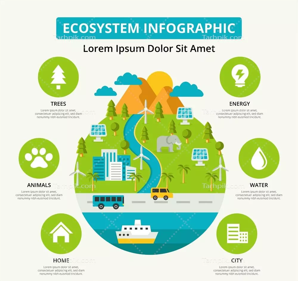 اینفوگرافیک‌های اکوسیستم: نمایشی بصری از تعاملات زیست‌محیطی به صورت وکتور