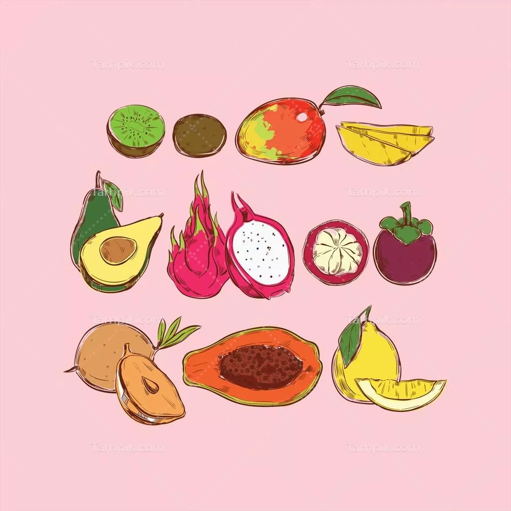 وکتور مجموعه میوه‌های دست‌کشیده و گرافیکی با طراحی خاص و جذاب
