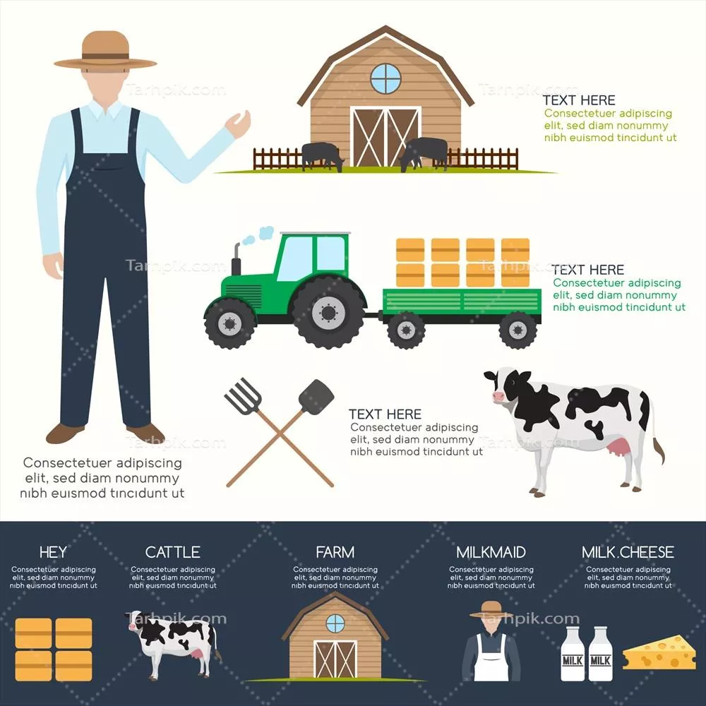 وکتور طراحی اینفوگرافیک عناصر مزرعه با جزئیات و کیفیت بالا