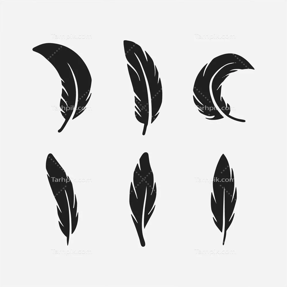 وکتور مجموعه تفلای پرها: یک مجموعه بی نظیر از انواع پرهای زینتی