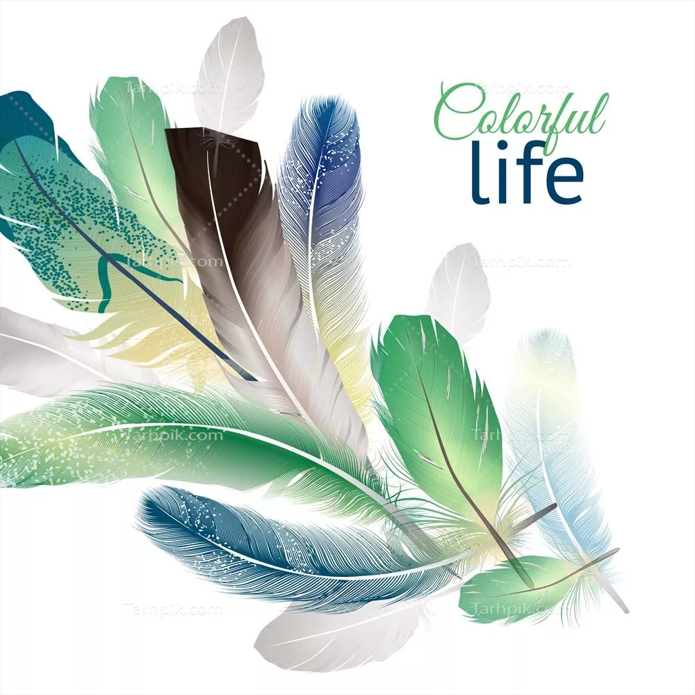 طرح وکتور واقعی پرها با جزئیات بالا و طراحی زیبا