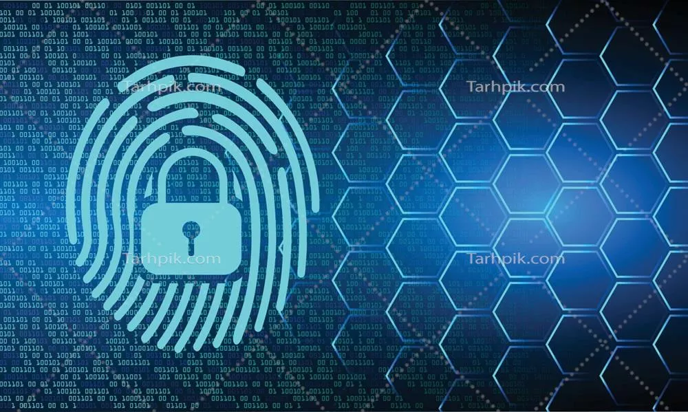 وکتور شبکه امنیت سایبری با تمرکز بر روی اثر انگشت و ویژگیهای آن