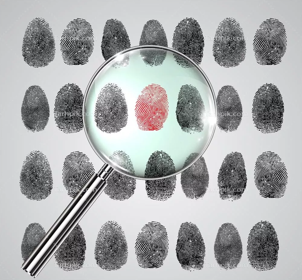 وکتور تحقیق و بررسی اثر انگشت: یک راهنمای جامع برای تحلیل و شناسایی