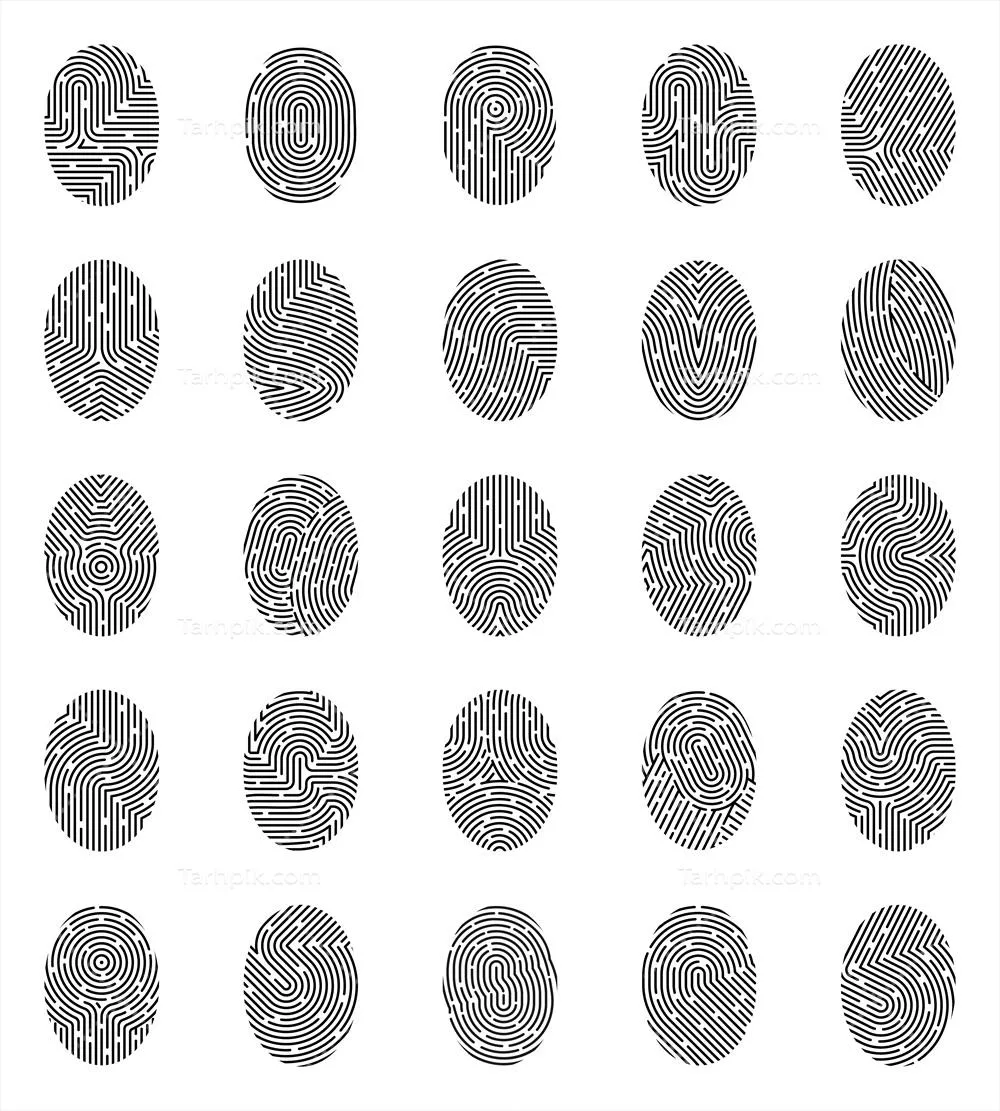 مجموعه آیکونهای اثر انگشت بصورت وکتور برای طراحی گرافیکی