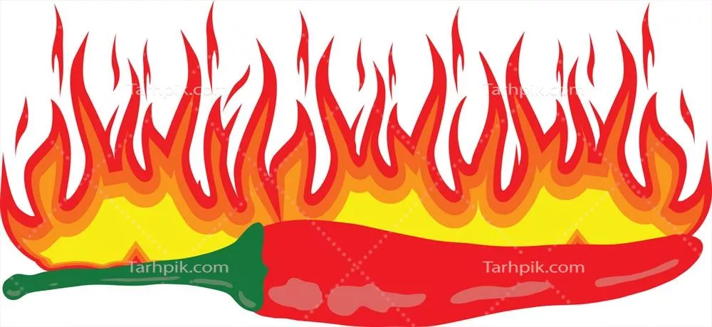 وکتور آتشین و تند: تجربه طعم و حرارت آتش در غذاهای معاصر