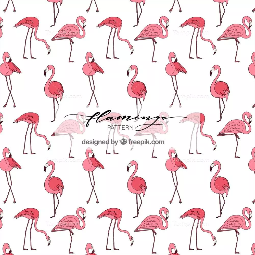 طراحی دستی الگوی فلامینگوها: وکتور زیبا و رنگارنگ