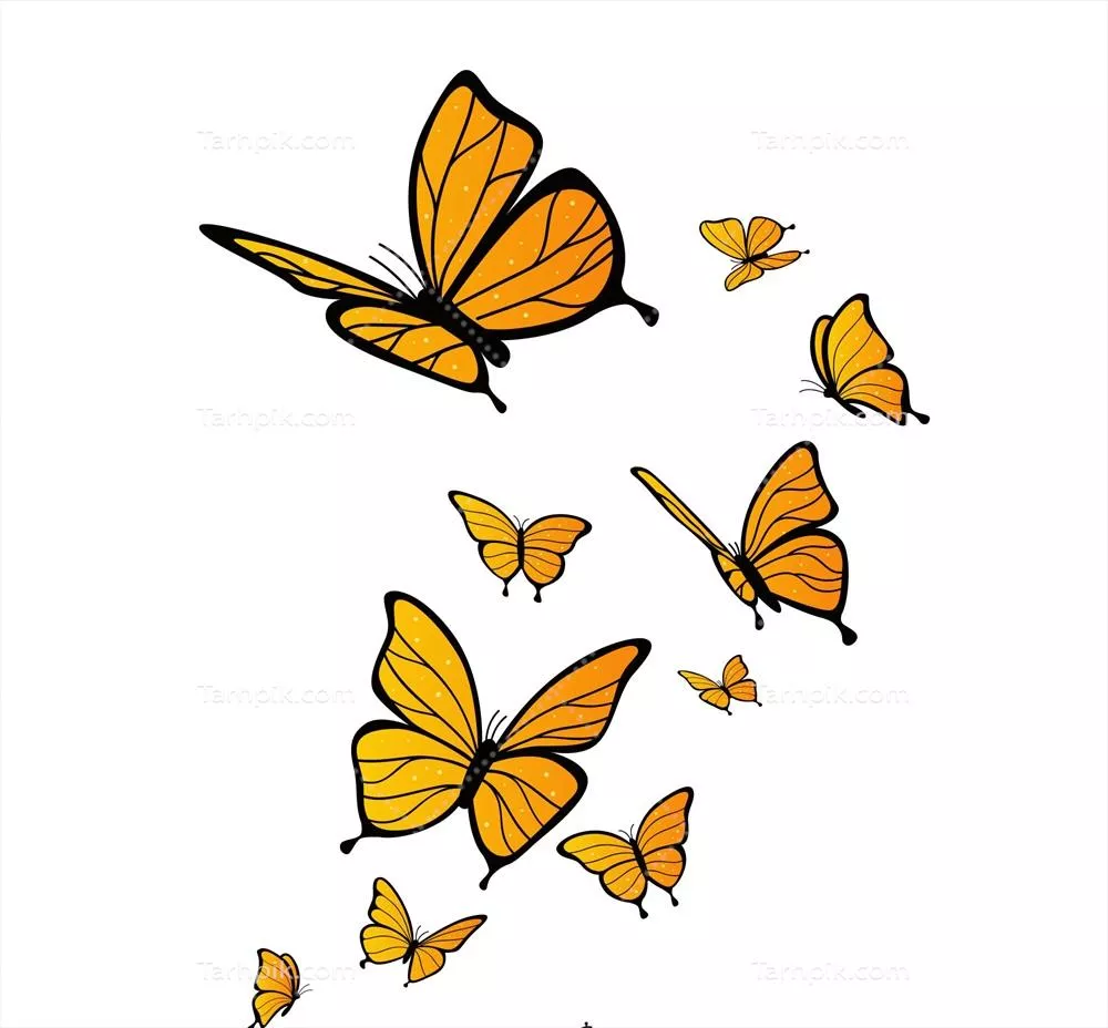 پس‌زمینه وکتوری پروانه‌های صاف در حال پرواز