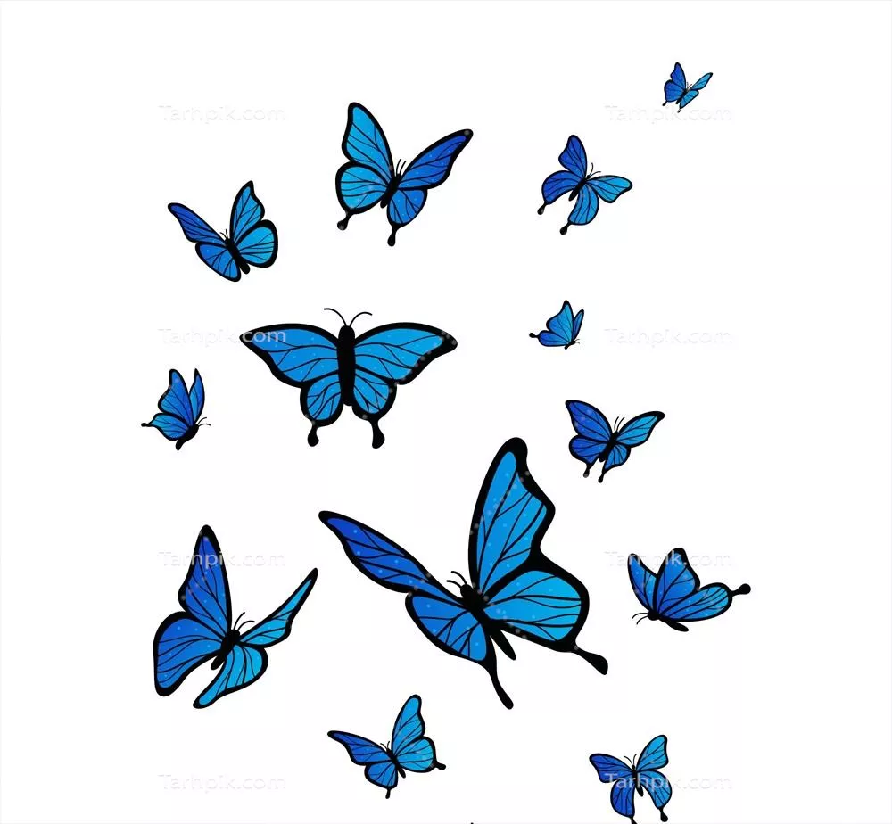 پیش‌زمینه وکتور پروانه‌های تخت در حال پرواز