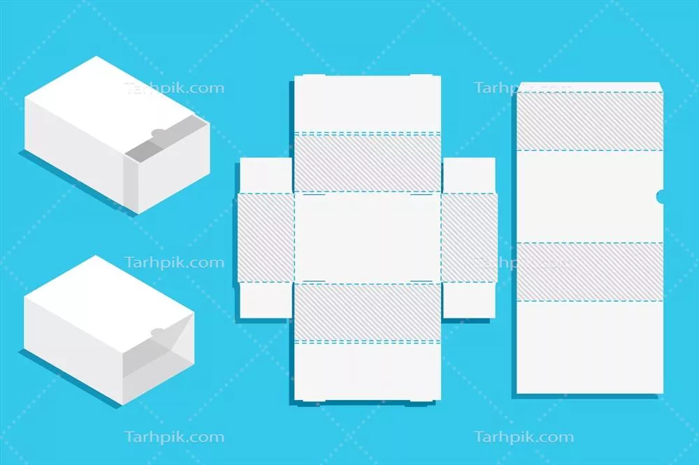 الگوی وکتور جعبه مستطیلی برش خورده با طراحی تخت و مدرن