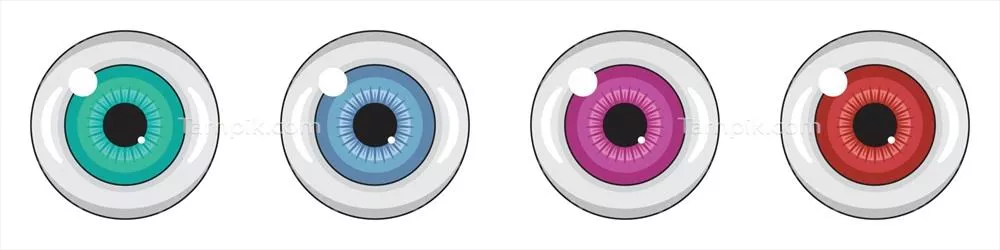 وکتور چشم تخت با رنگهای سبز، آبی، خاکستری، صورتی و قرمز به صورت جداگانه