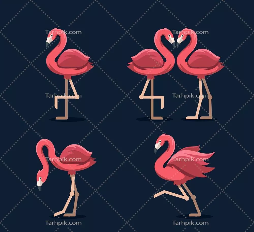 مجموعه فلامینگوهای مسطح با حالتهای مختلف و طراحی وکتور