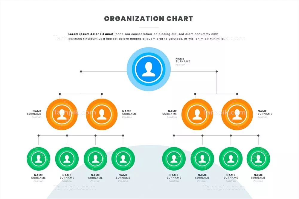 نقشه سازمانی مسطح - اینفوگرافیک وکتور با دو طراحی خلاقانه