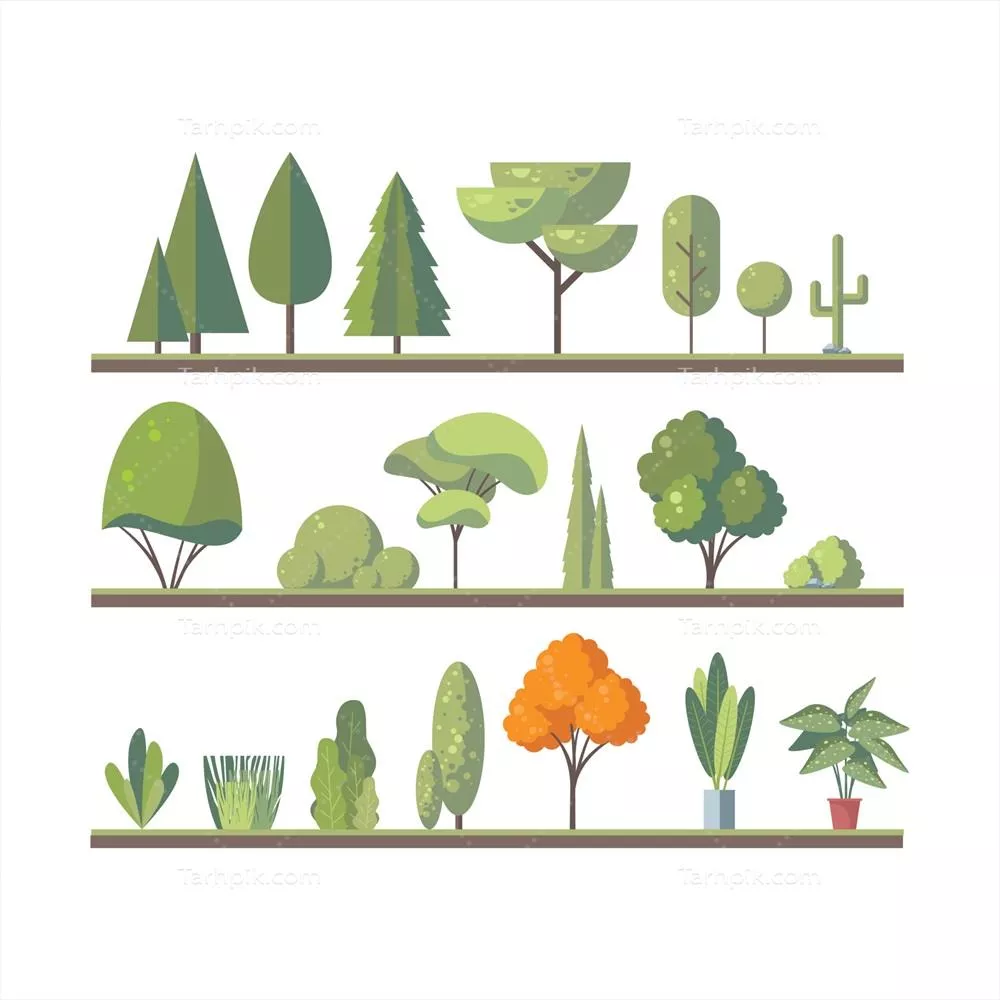 وکتور مجموعهای از درختان طراز مسطح برای طراحی فضای سبز