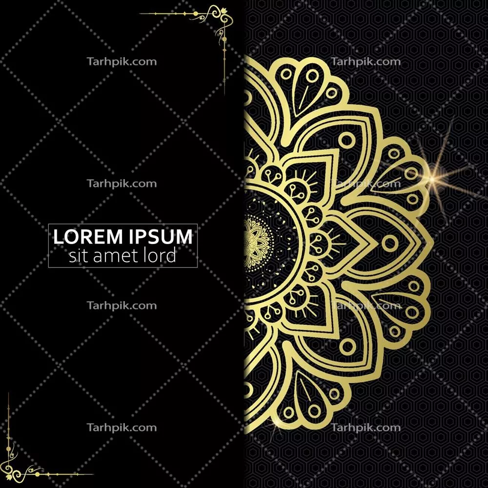 وکتور قاب تزئینی گلدار و ماندالا با طراحیهای زیبا و منحصر به فرد