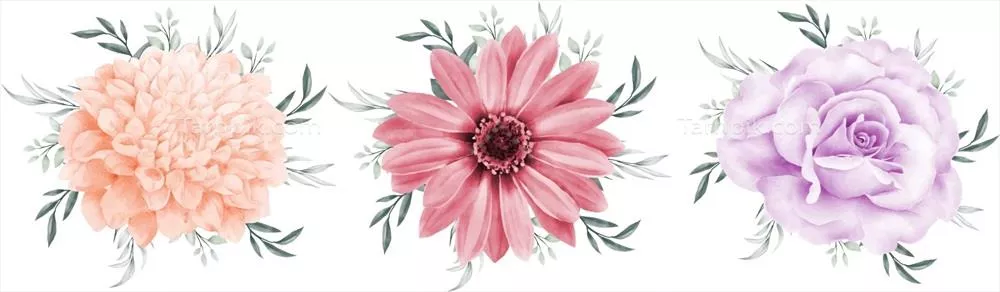 وکتور ترکیب گلهای آبرنگی بهصورت جداگانه بر روی پسزمینه سفید