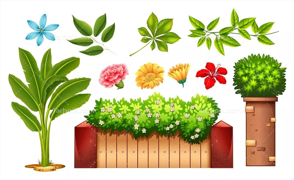وکتور شگفتیهای گلها و برگهای گیاهان در باغ و زیباییهای آن