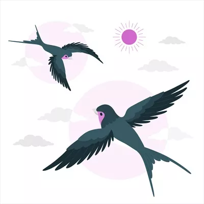 تصویری مفهومی از پرنده در حال پرواز با طراحی وکتور