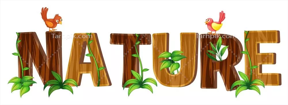 وکتور طراحی فونت با الهام از طبیعت و تصاویری از زیباییهای آن