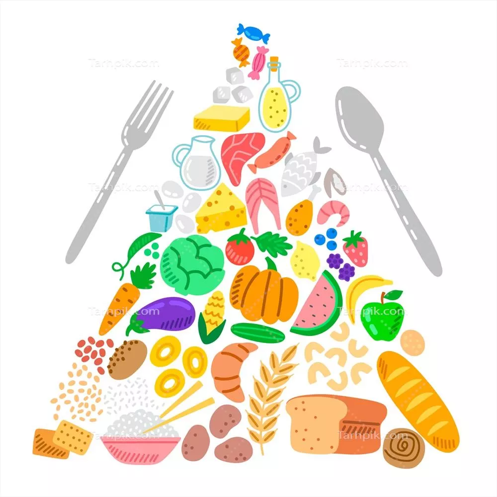 وکتور الگوی هرم غذایی و تغذیه سالم: راهنمای تغذیه متعادل برای زندگی بهتر