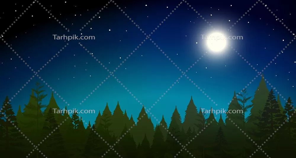وکتور تصویری زیبا از جنگل در شب با نورهای ملایم و آرامش بخش