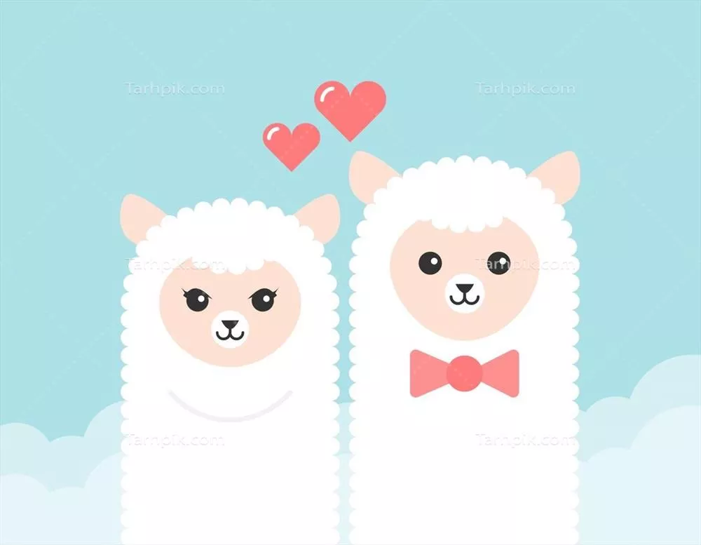 تصویر برداری وکتوری از یک زن و شوهر کارتونی آلپاکاهای دوست داشتنی در حال عشق ورزی