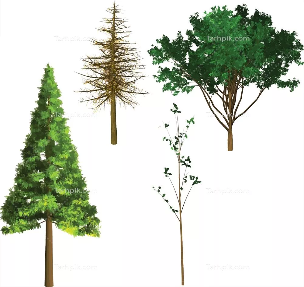 دانلود مجموعه وکتور درختان برای طراحی و گرافیک