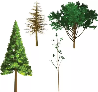 دانلود مجموعه وکتور درختان برای طراحی و گرافیک