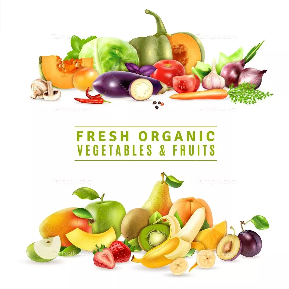 تصویری وکتوری از میوهها و سبزیجات تازه و رنگارنگ