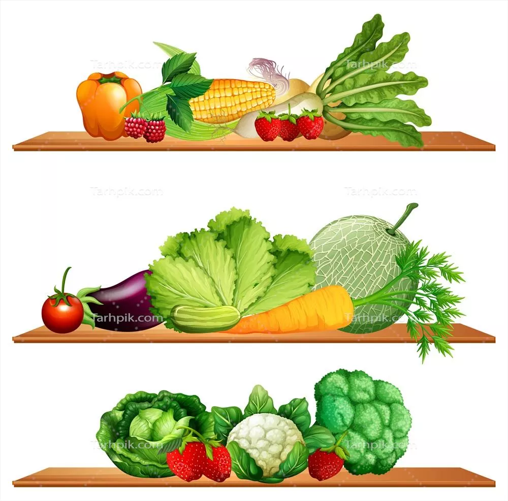 وکتور تصویر تراکتور میوه و سبزیجات تازه بر روی قفسه ها
