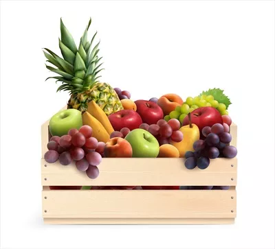 ترکیب واقعی جعبه میوه به صورت وکتور برای طراحی گرافیکی