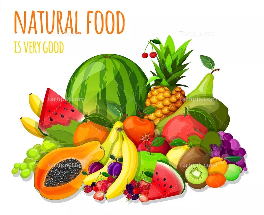 تصویر برداری میوه ها به صورت ثابت و زندگی آرام در قالب وکتور