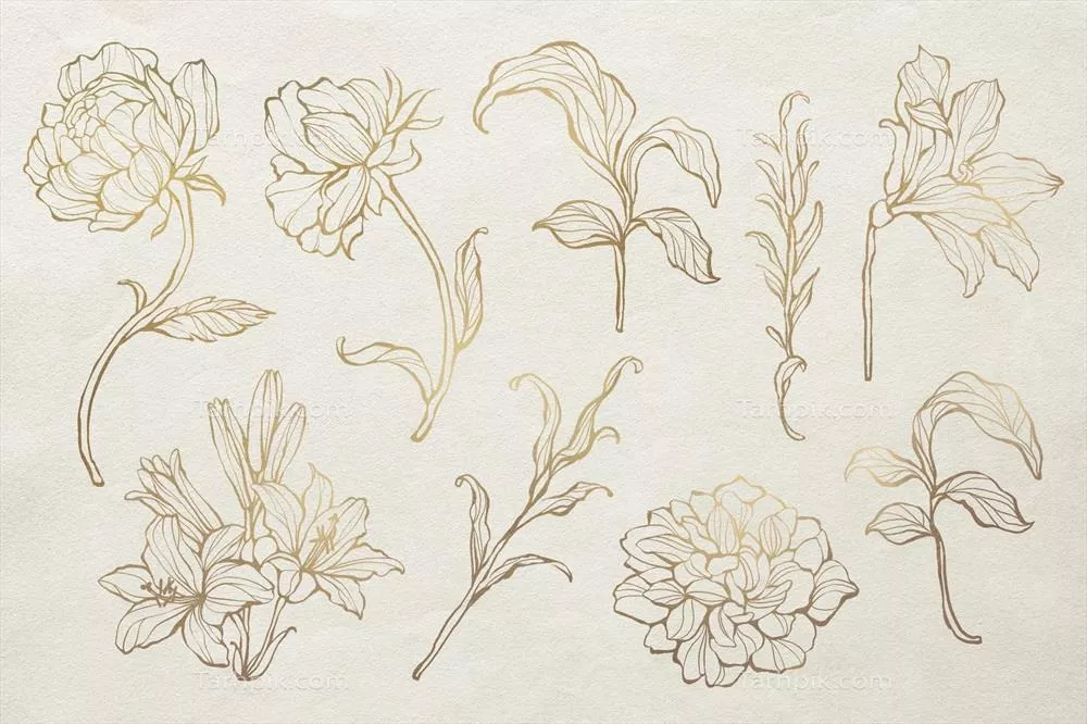 مجموعه وکتور خطوط گل دار طلایی با طراحی زیبا و خلاقانه