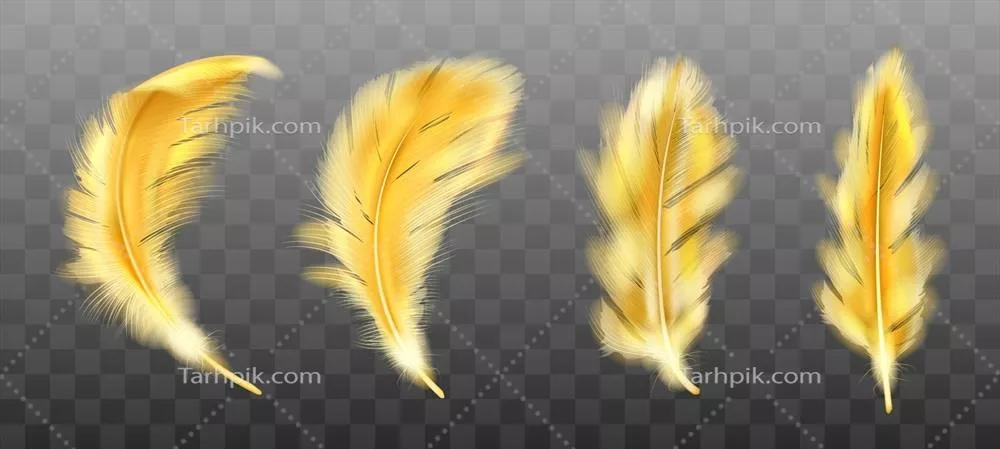 وکتور پر طلایی-زرد و پفکی با جزئیات واقعگرایانه